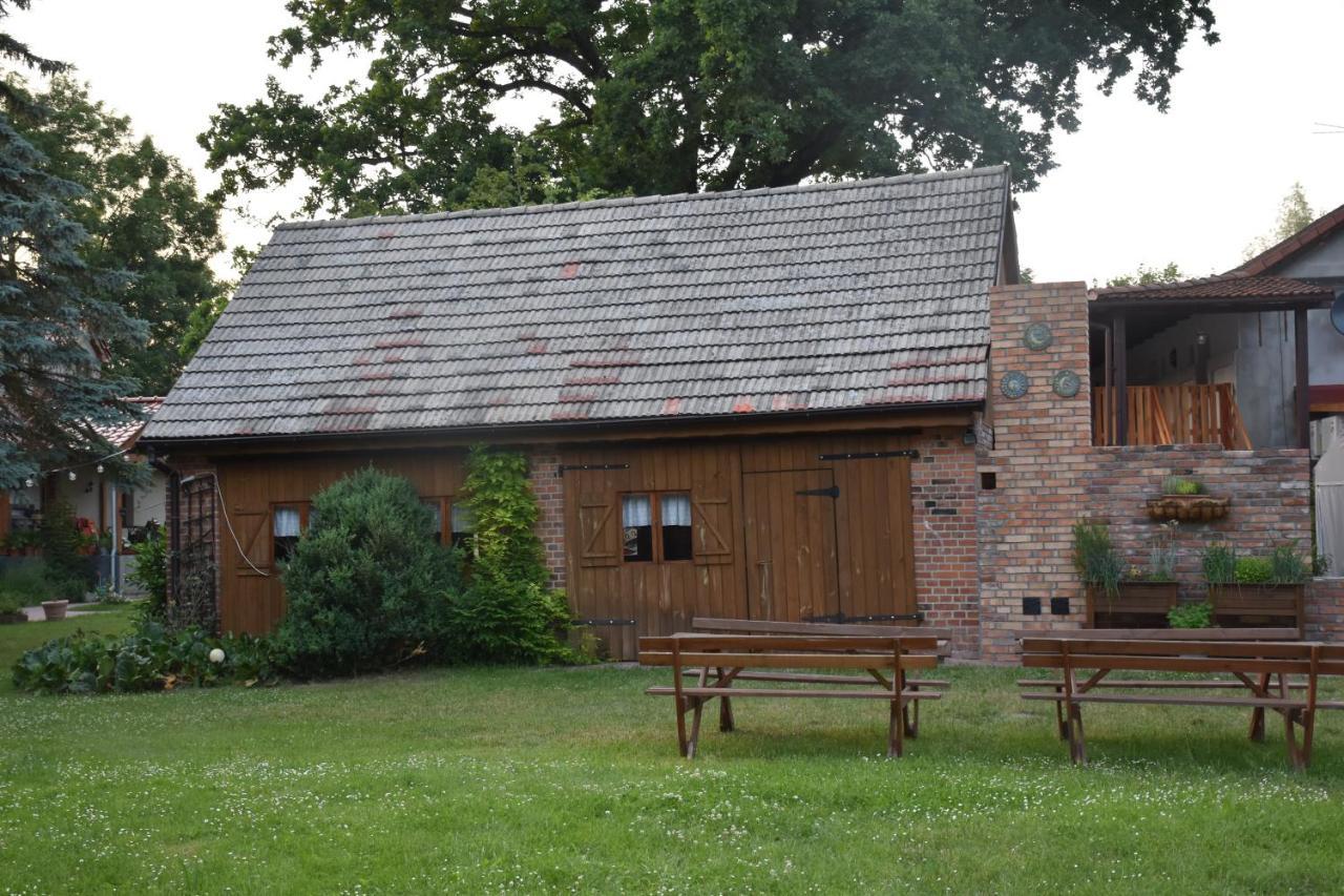 Villa Gosciniec Pod Debem Trzciel Esterno foto