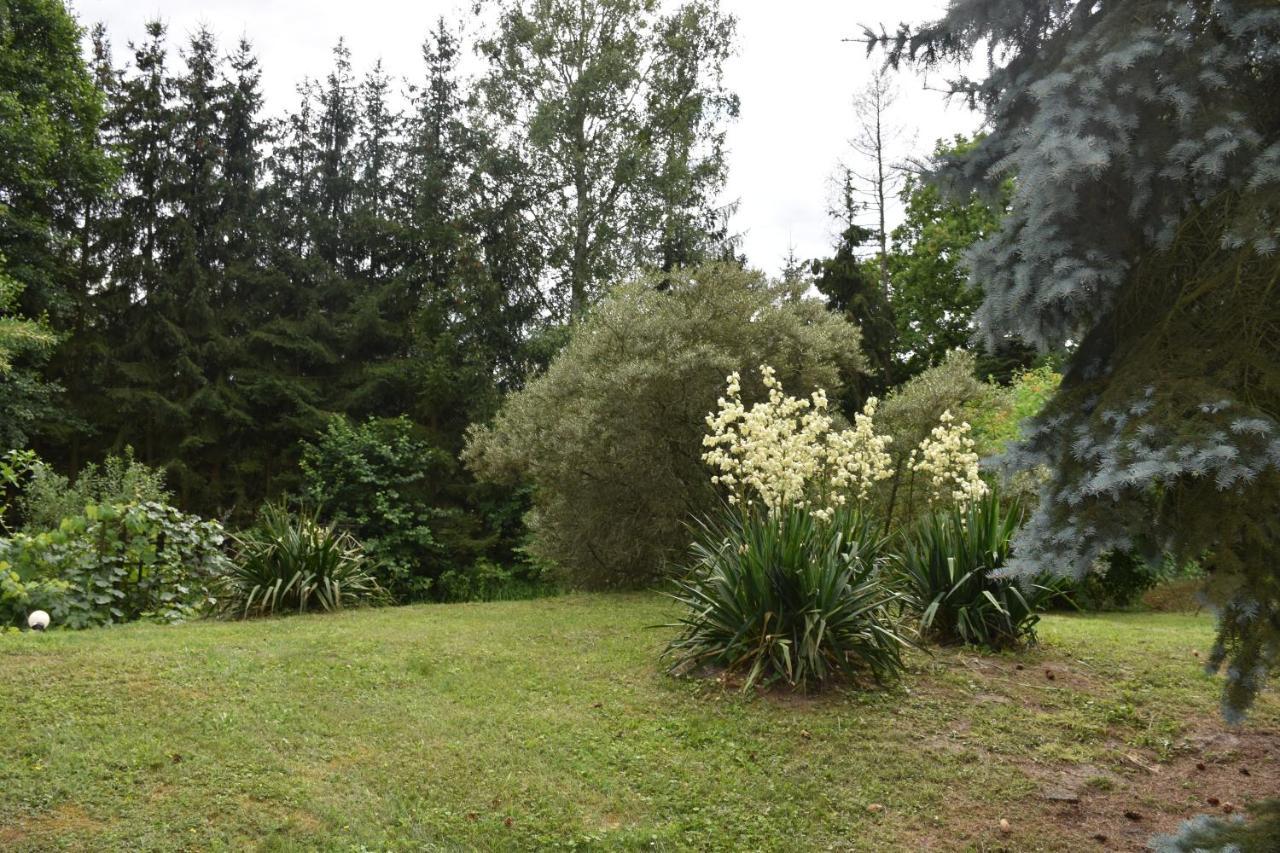 Villa Gosciniec Pod Debem Trzciel Esterno foto