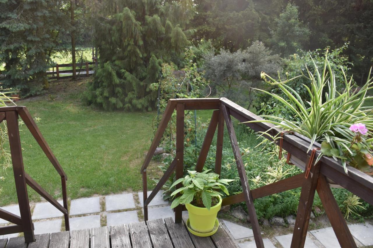 Villa Gosciniec Pod Debem Trzciel Esterno foto
