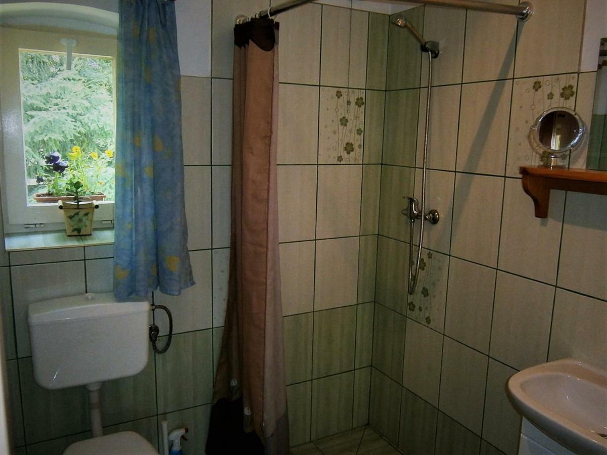 Villa Gosciniec Pod Debem Trzciel Esterno foto